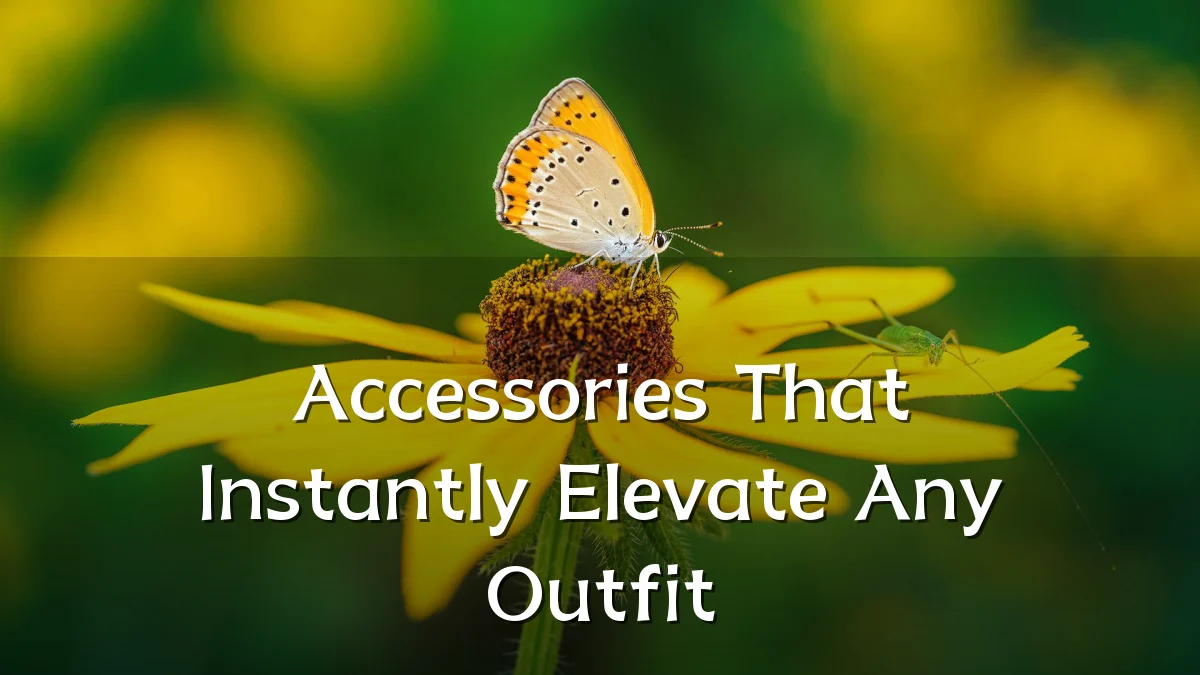 Accessories That Instantly Elevate Any Outfit