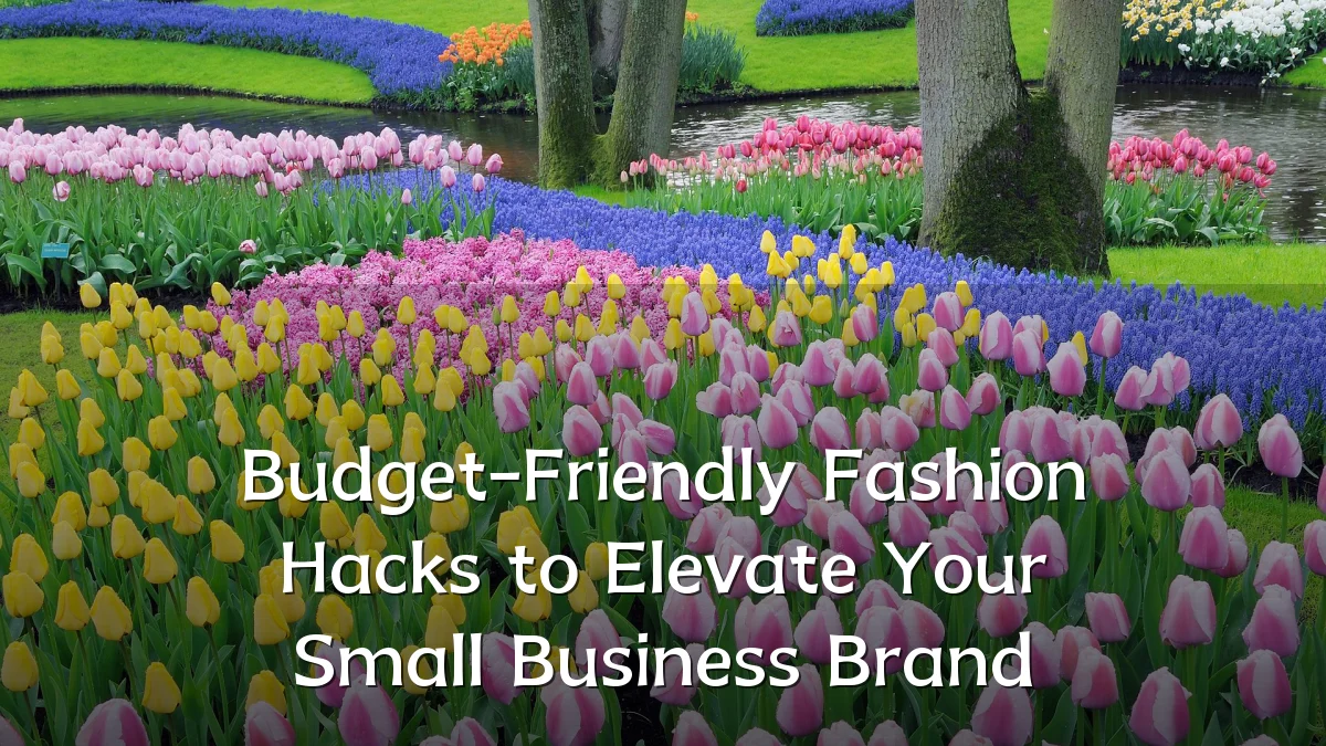 Budget-Friendly Fashion Hacks to Elevate Your Small Business Brand