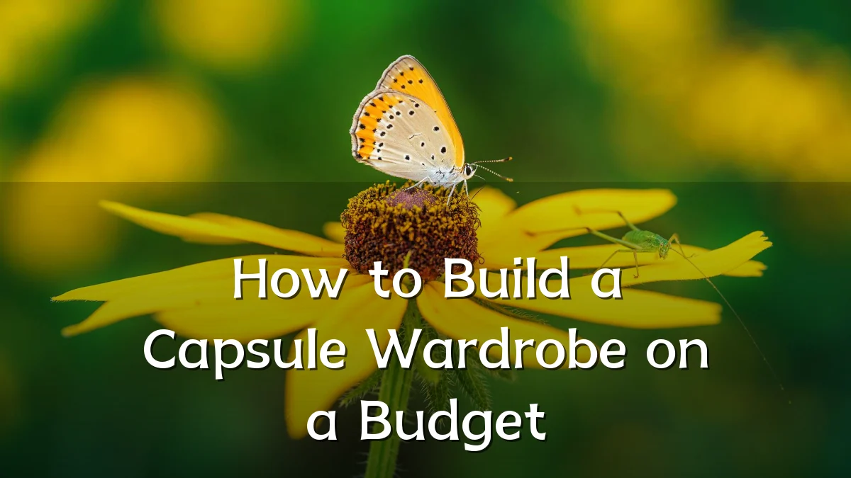 How to Build a Capsule Wardrobe on a Budget