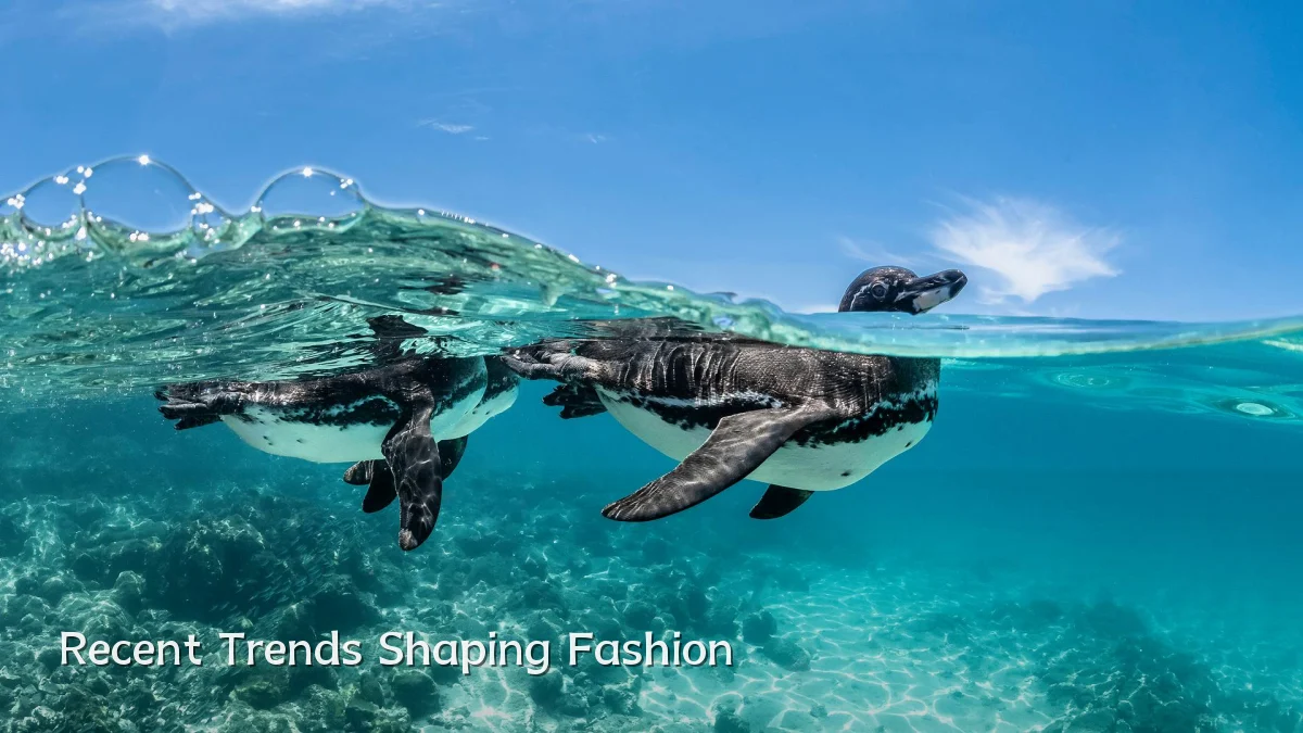 Recent Trends Shaping Fashion