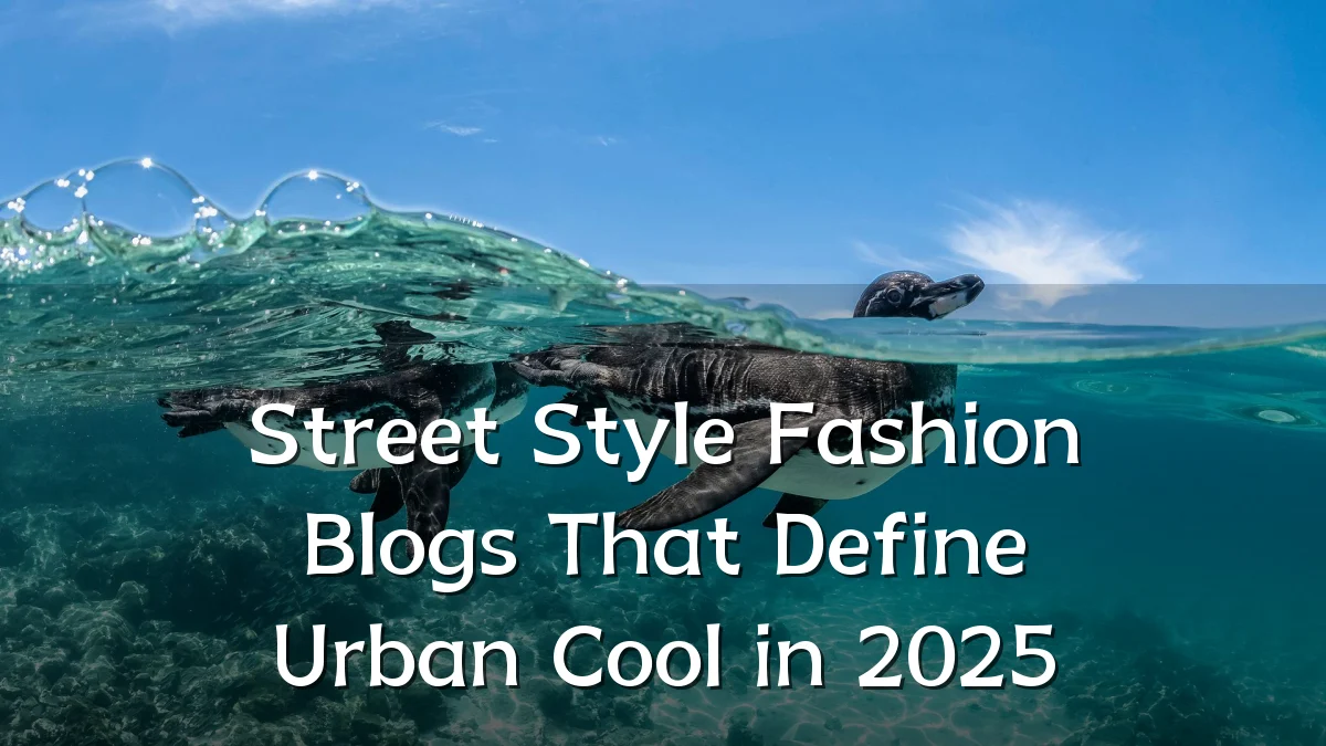 Street Style Fashion Blogs That Define Urban Cool in 2025