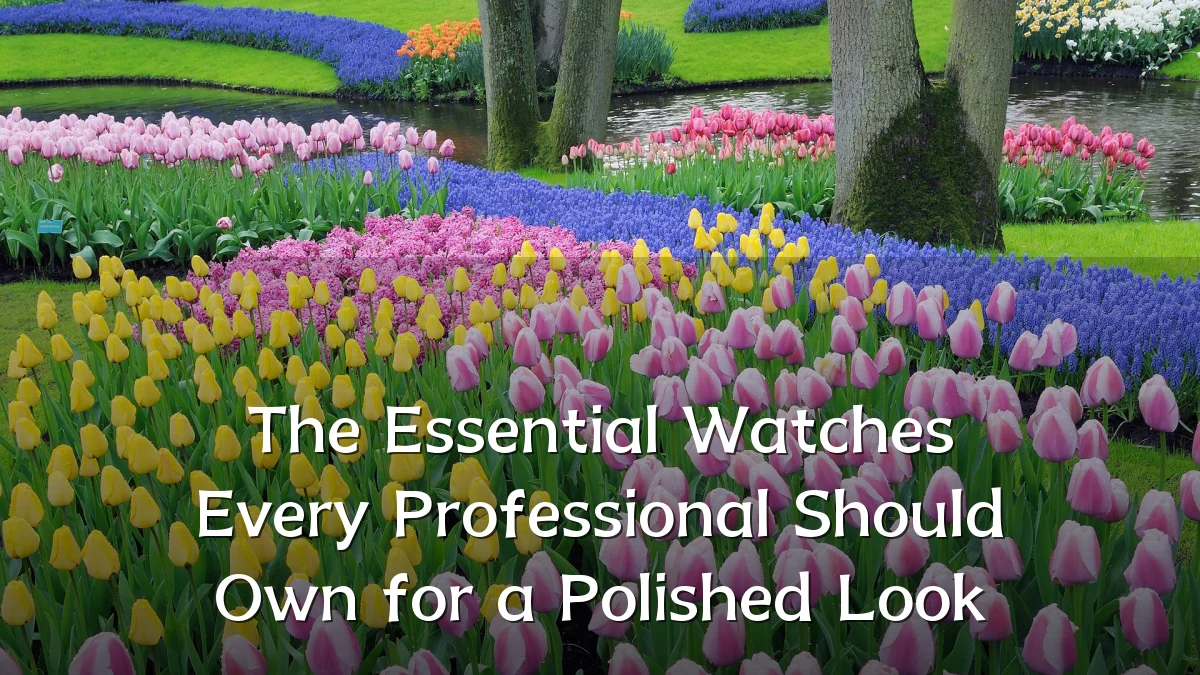 The Essential Watches Every Professional Should Own for a Polished Look