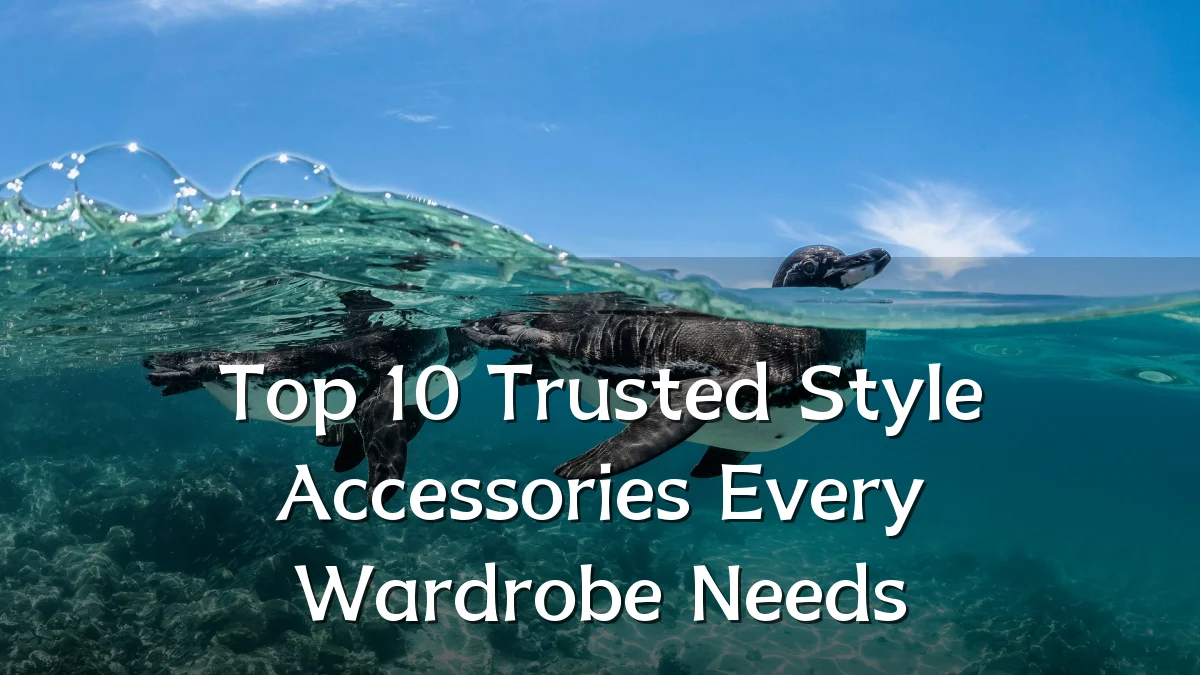 Top 10 Trusted Style Accessories Every Wardrobe Needs