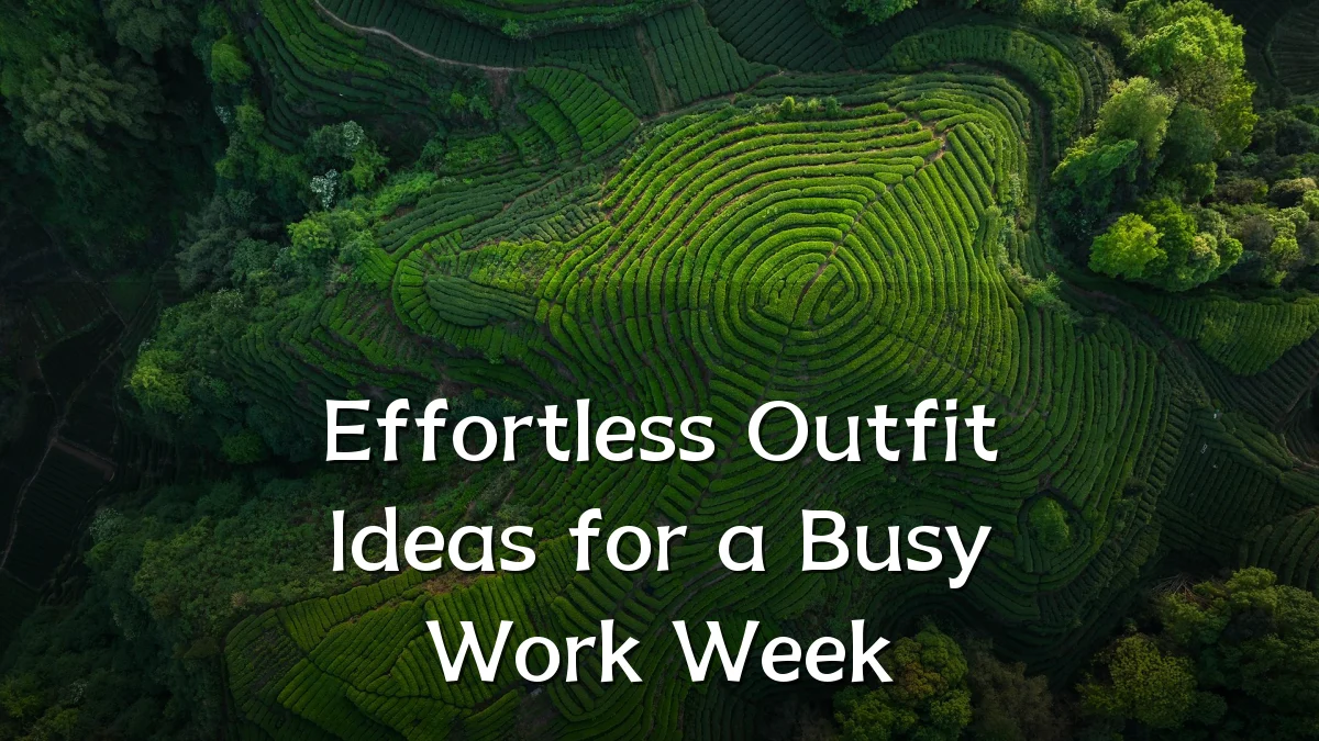Effortless Outfit Ideas for a Busy Work Week