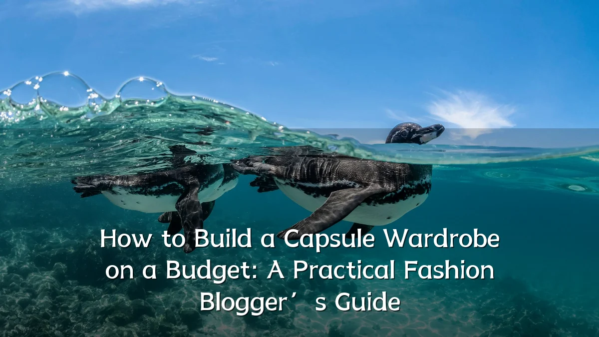 How to Build a Capsule Wardrobe on a Budget: A Practical Fashion Blogger’s Guide