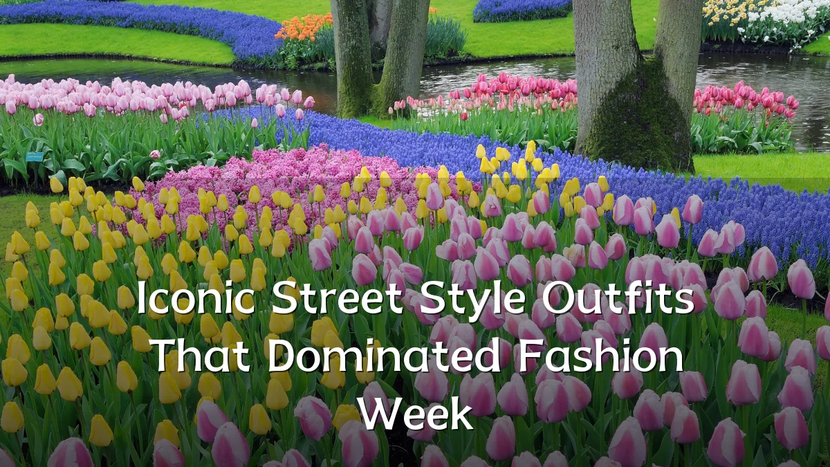 Iconic Street Style Outfits That Dominated Fashion Week