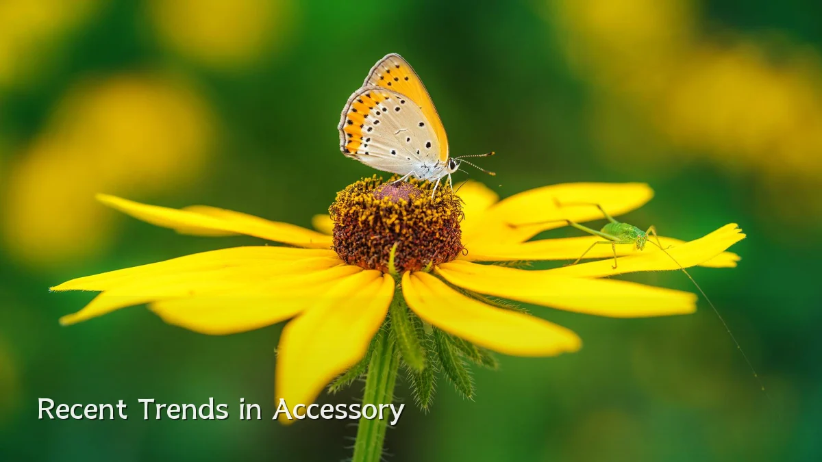 Recent Trends in Accessory