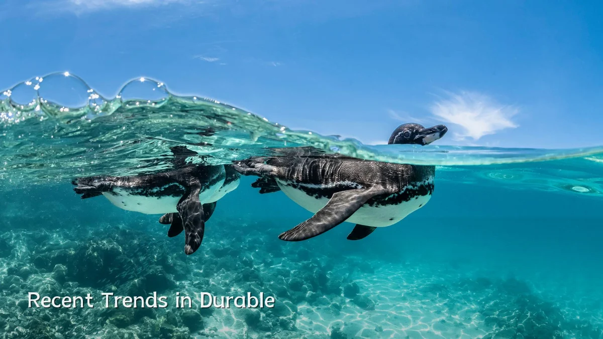 Recent Trends in Durable