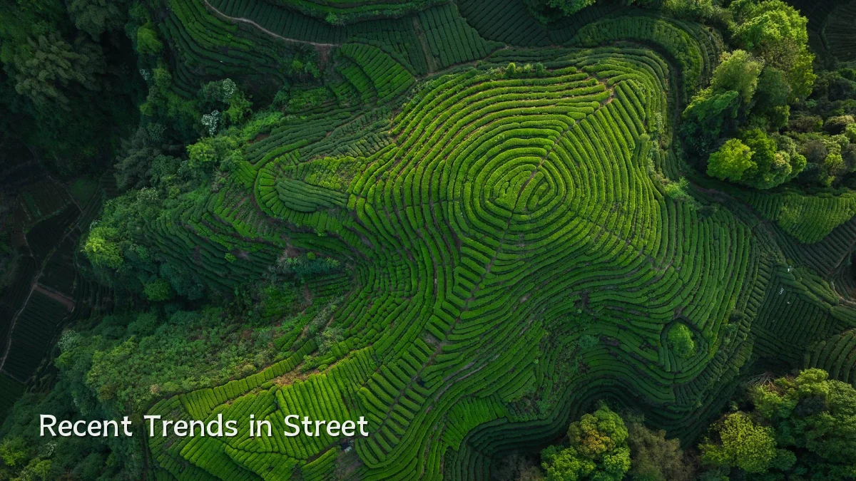 Recent Trends in Street