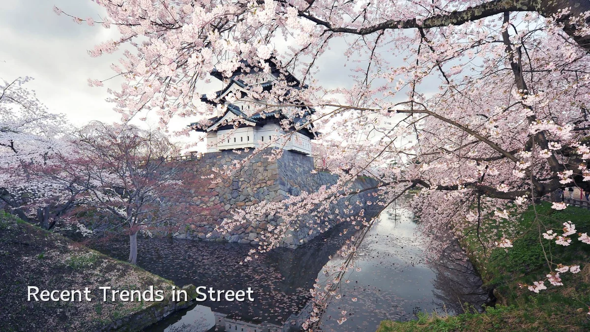 Recent Trends in Street