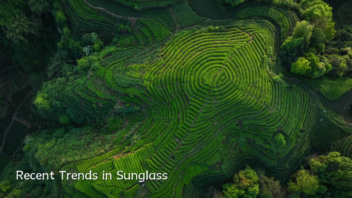 Recent Trends in Sunglass