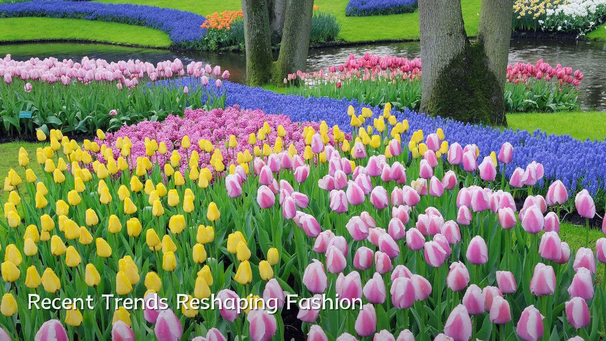 Recent Trends Reshaping Fashion