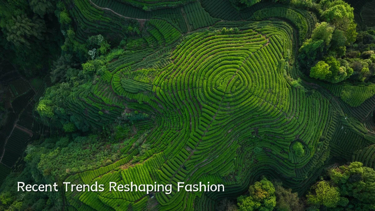 Recent Trends Reshaping Fashion