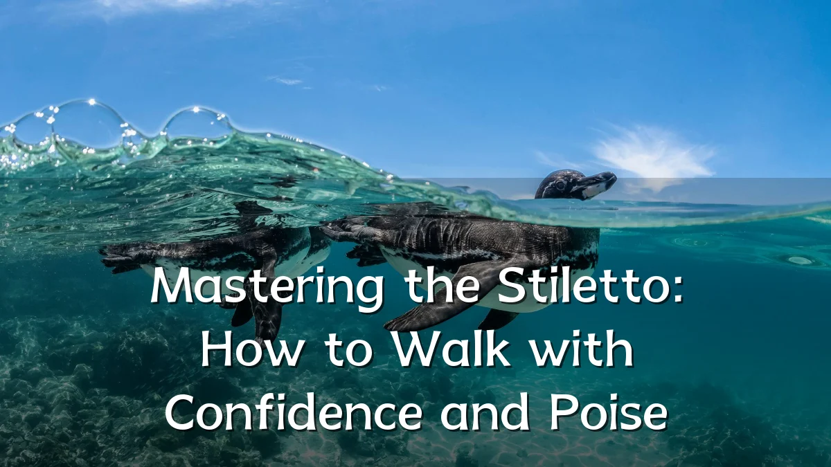 Mastering the Stiletto: How to Walk with Confidence and Poise