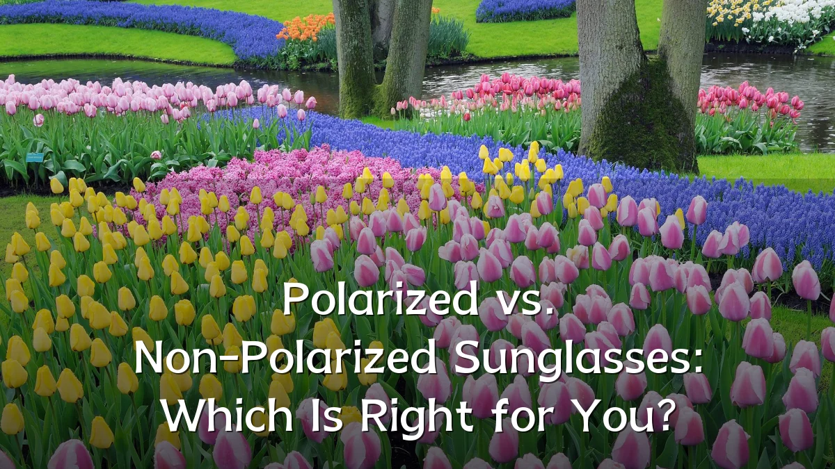 Polarized vs. Non-Polarized Sunglasses: Which Is Right for You?