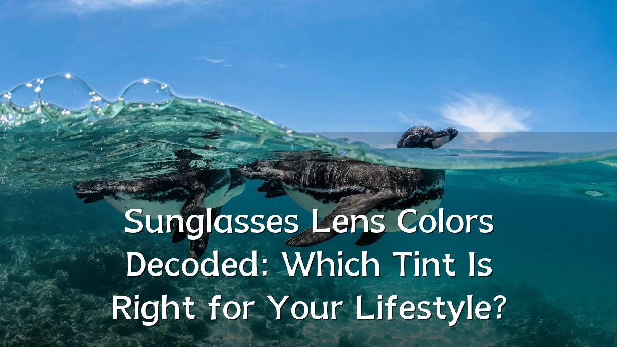 Sunglasses Lens Colors Decoded: Which Tint Is Right for Your Lifestyle?