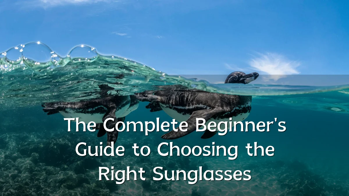 The Complete Beginner's Guide to Choosing the Right Sunglasses