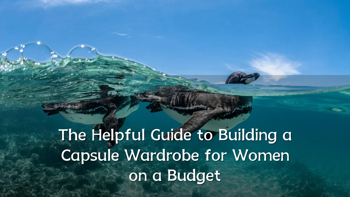 The Helpful Guide to Building a Capsule Wardrobe for Women on a Budget
