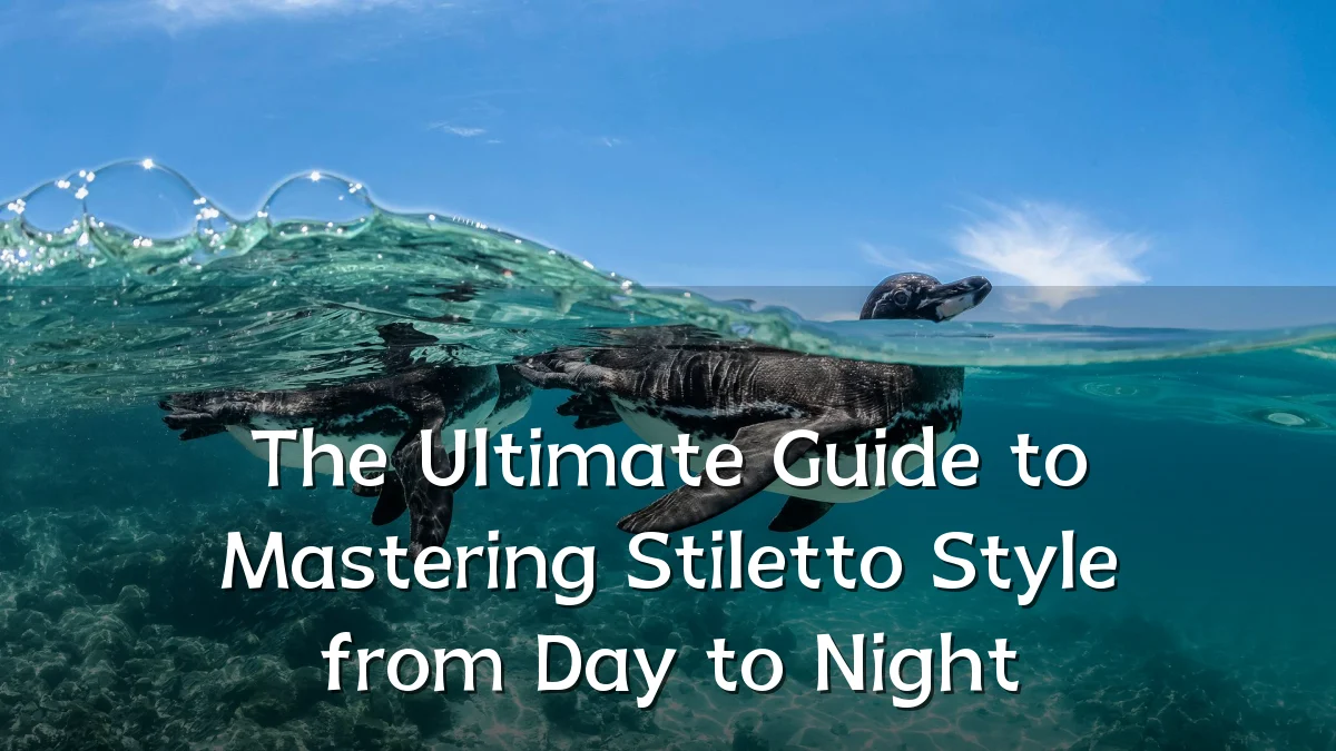 The Ultimate Guide to Mastering Stiletto Style from Day to Night