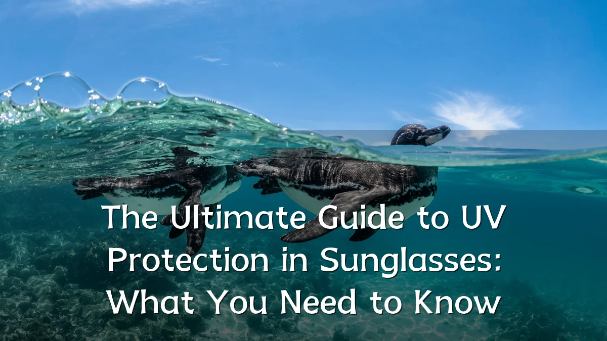 The Ultimate Guide to UV Protection in Sunglasses: What You Need to Know