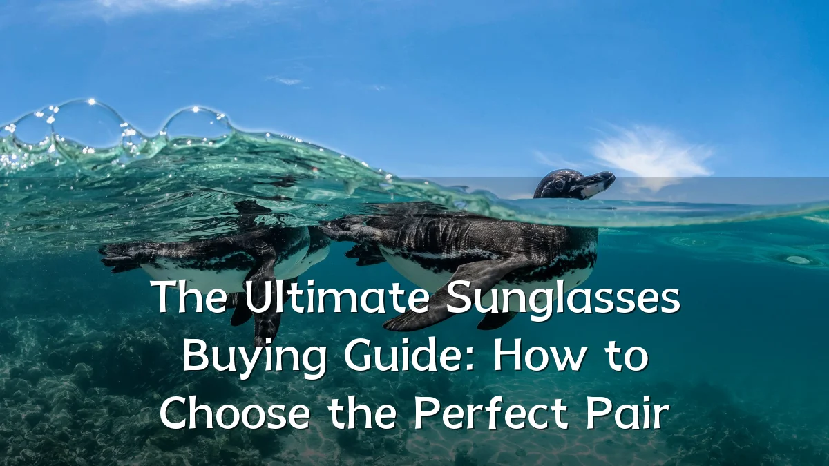 The Ultimate Sunglasses Buying Guide: How to Choose the Perfect Pair