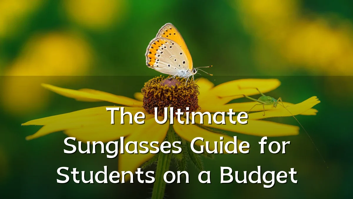 The Ultimate Sunglasses Guide for Students on a Budget