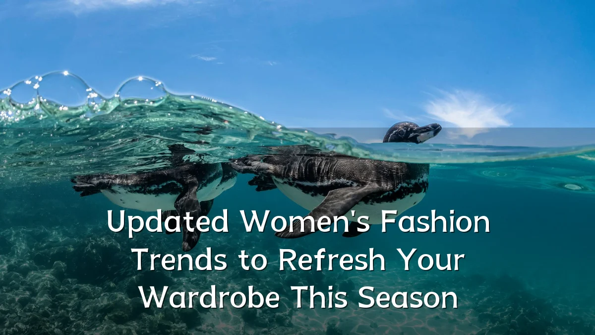 Updated Women's Fashion Trends to Refresh Your Wardrobe This Season