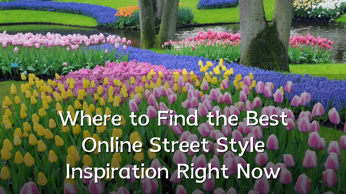 Where to Find the Best Online Street Style Inspiration Right Now